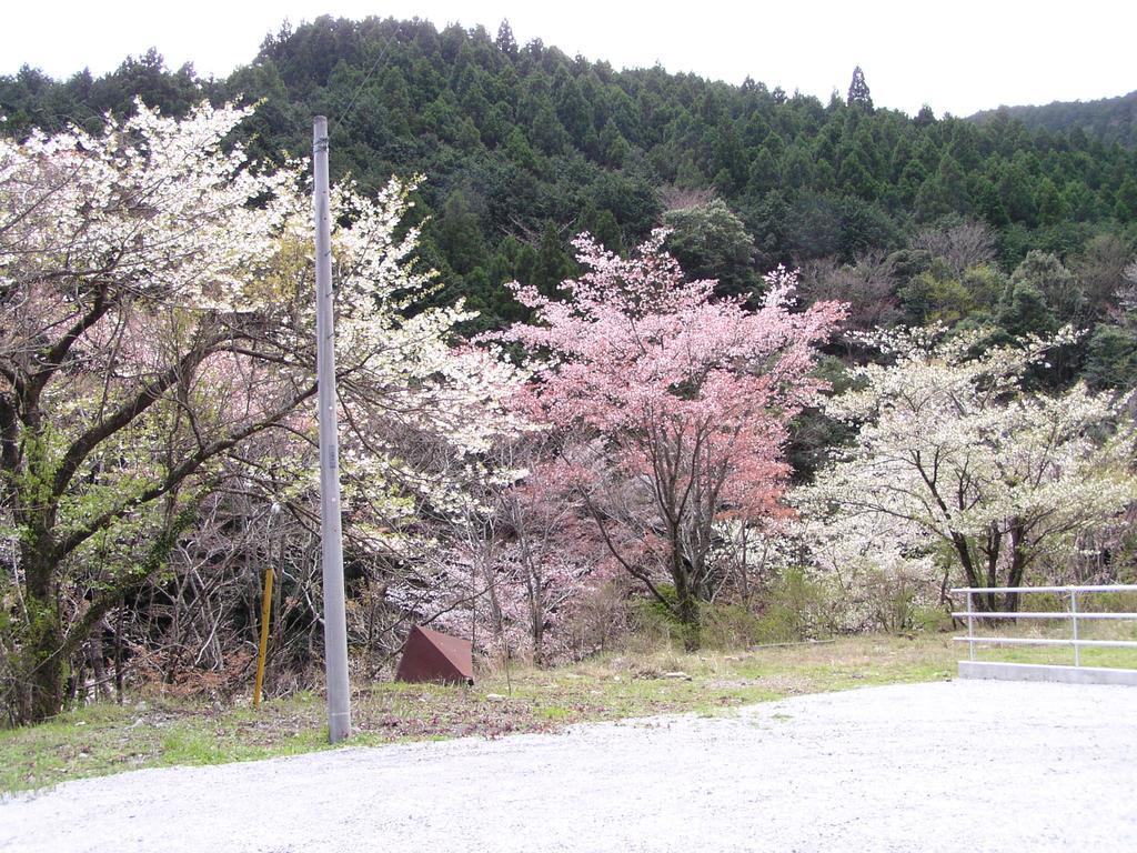 Irorino Yado Sankichi Ryokan Izu (Shizuoka)