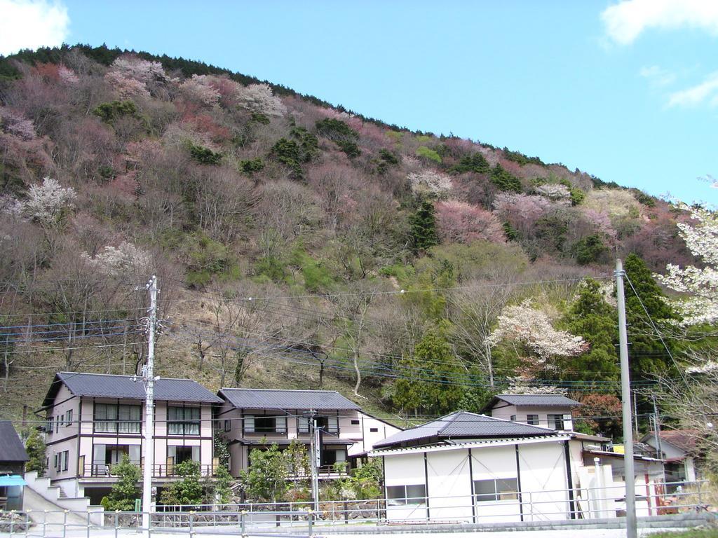 Irorino Yado Sankichi Izu (Shizuoka)